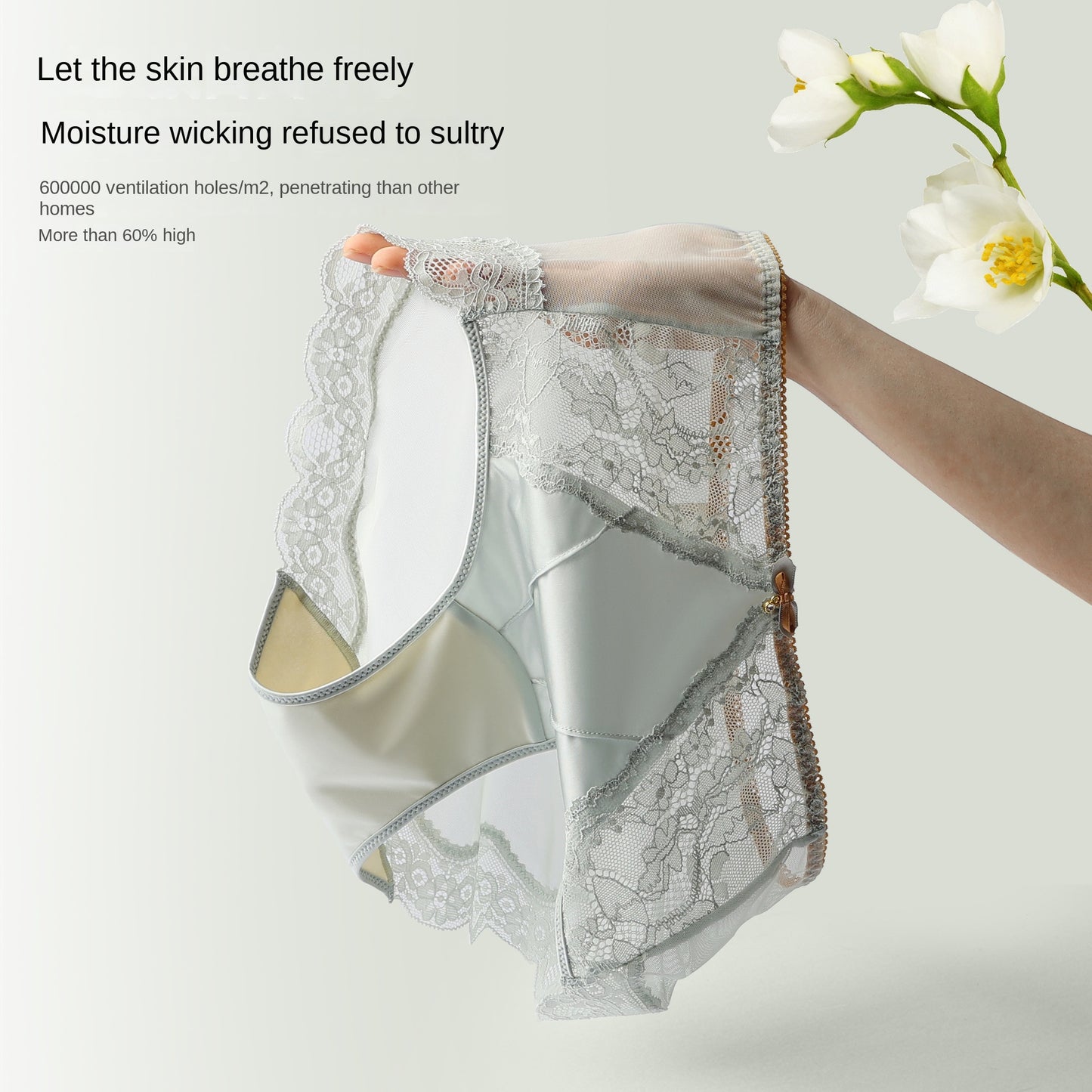 Luxury Mid-High Waist Women's Underwear with Silk-Cotton Lining Antibacterial Mesh Sexy Lace Design